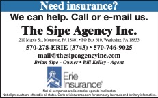 Sipe's Agency